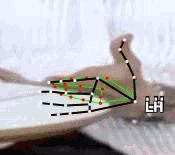 6d2cb49d5bb9.gif