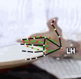 127bbfa52c7f.gif