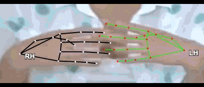 5aa16ec2fd14.gif