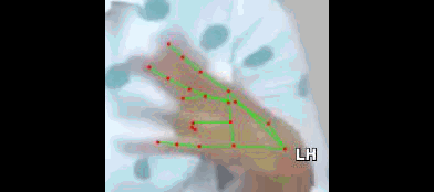 ae6d13eb1eae.gif