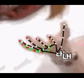36ebce0b6e1b.gif