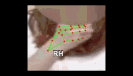 0b71a9054df4.gif