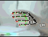 794766fc210d.gif