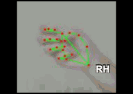 40ead0001f2b.gif