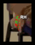 c613946cfb6b.gif