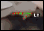 d13bd9ed5fb6.gif
