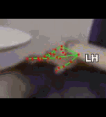 6d481fa4e6a2.gif