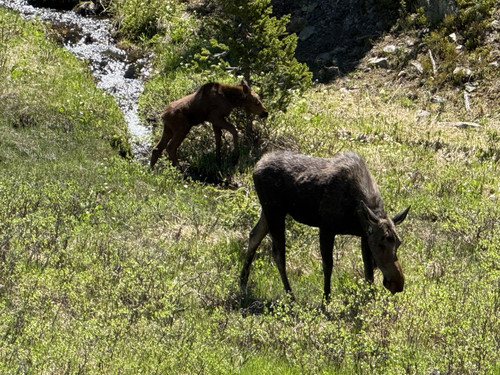 IMG 9873.jpg