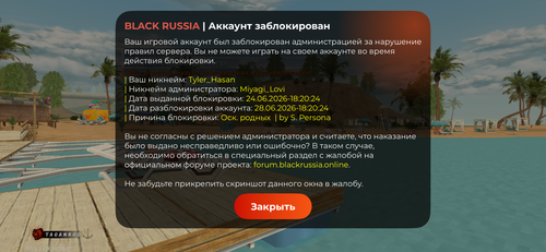 IMG 1654.png
