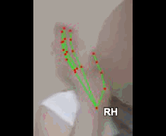 96f3699512dd.gif