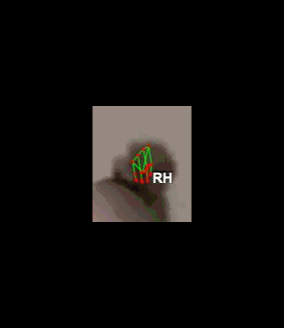 cf1f224af5a9.gif