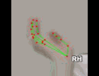 11d504024414.gif