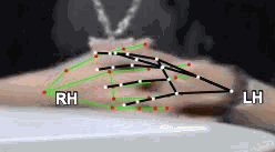 fa267b0eb5a5.gif