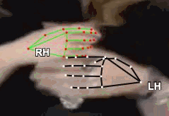 1799b5eb8c5d.gif
