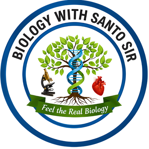 6116d0722bb9.png