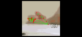 87f894057a75.gif