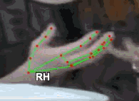 53e15071f806.gif