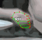 f66fbc17fc02.gif