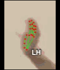 d7d04ba68f8d.gif
