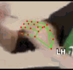 57784b35cab7.gif