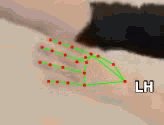fbcd262a74c7.gif