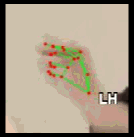 ccf754c64dc5.gif