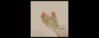 2d2cb186cda6.gif
