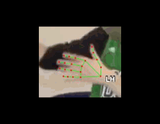 a0151b17d184.gif