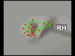 ca772c8b6854.gif