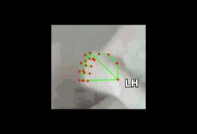 19f1f82d30b4.gif