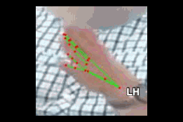 dce2439fb48c.gif