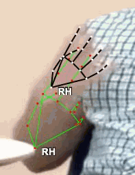 a83574a37545.gif