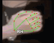 fc1849016df2.gif