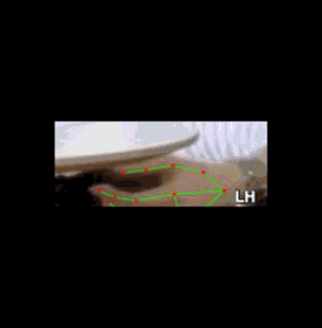 5d68bbaa7d3a.gif