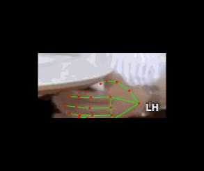 fc6de5759350.gif