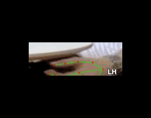 40445ed6af4d.gif