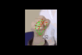 dd0a6d6eab52.gif