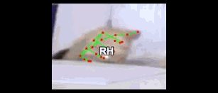20bbe32f8555.gif