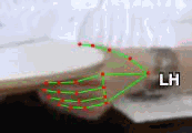 5ec76b061925.gif