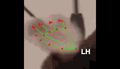 c91f2f30824c.gif