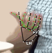 813cbb0a40e3.gif