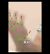 5d278b06dc83.gif