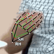 6dd1408172c6.gif