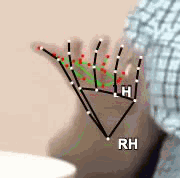 ea1924a025b7.gif