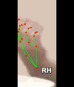 b9e0cd2a3c9d.gif