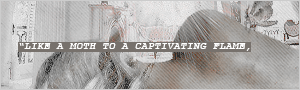 300 minibanner copy final3.png