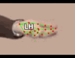 70b7ce3d6a1d.gif