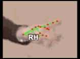 5fdb120c4dcf.gif