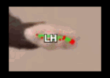5cc95f155678.gif