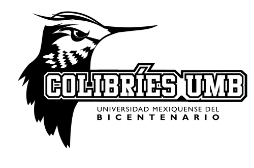  Colibrí UMB Negro (1).png